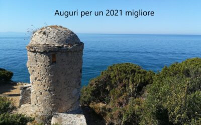 Auguri per un 2021 migliore