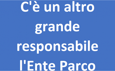 C’è un altro grande responsabile l’Ente Parco