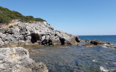 Le passeggiate della resilienza al Fortino