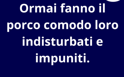 Ormai fanno il porco comodo loro